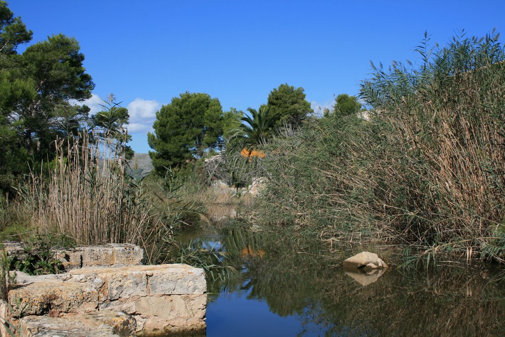 Alcudia nature by roy-tore