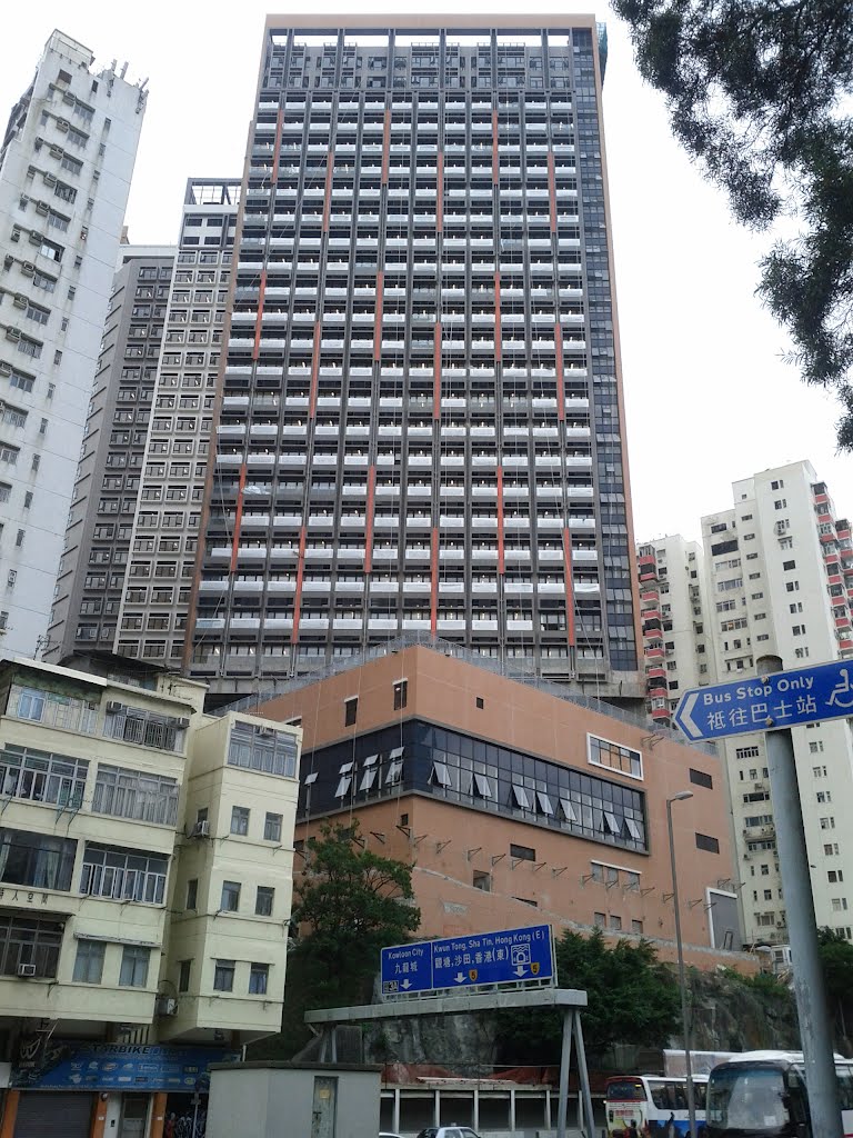 South Façade of PolyU Student Hostel Phase 3 (under construction 2012Jun) by thinsing