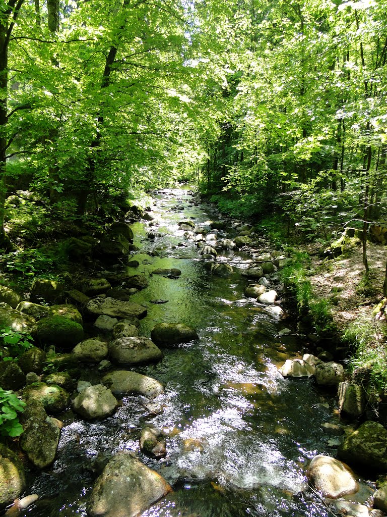 Kalte Bode zwischen Elend und Schierke by bke