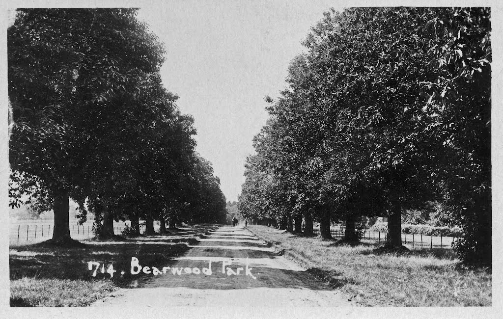 Bearwood College by DAVID ROBINS