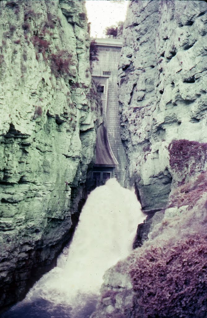 Interior cañón de los almadenes, 7 de marzo de 1982. Colección Antonio Selva. by Antonio Callejas Gallar