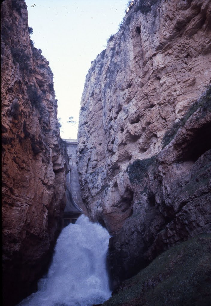 Interior cañón de los almadenes, 7 de marzo de 1982. Colección Antonio Selva. by Antonio Callejas Gallar