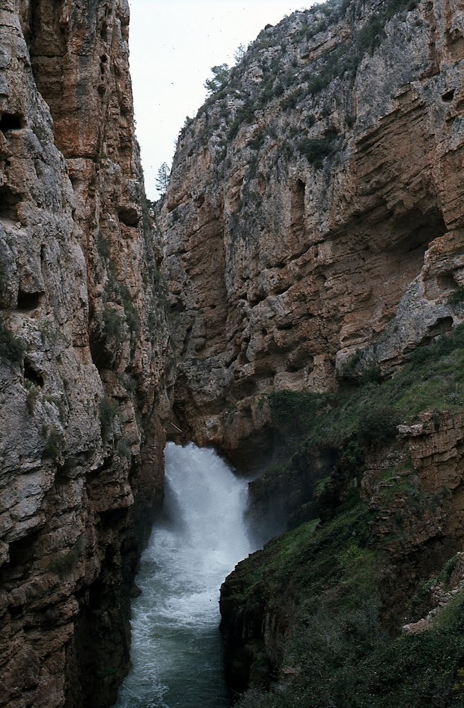 Interior cañón de los almadenes,7 de marzo de 1982. Colección Antonio Selva. by Antonio Callejas Gallar