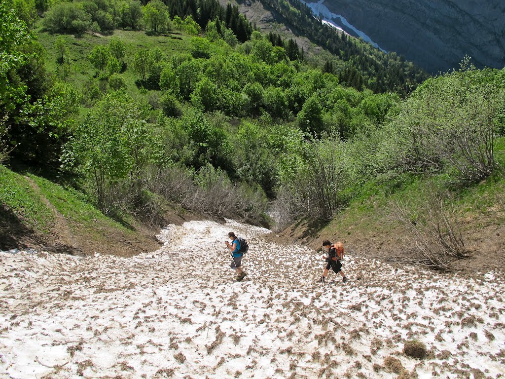 "Combe Fort", sous le Mt d'Armenaz, vestiges d'avalanches 02.06.2012 by Jean-Luc.