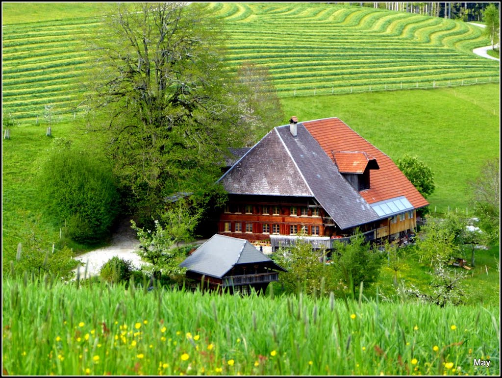 Mb - Emmental im Frühling by ♫ Swissmay