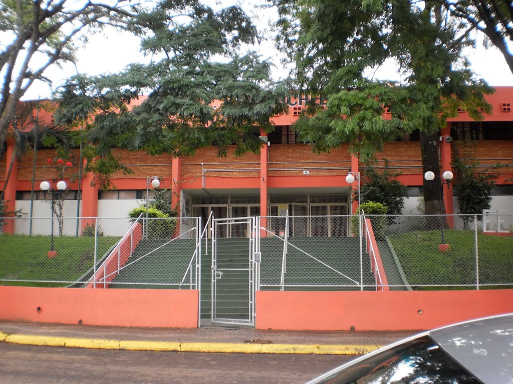 Escola Estadual de segundo grau João Michelin by junior leme