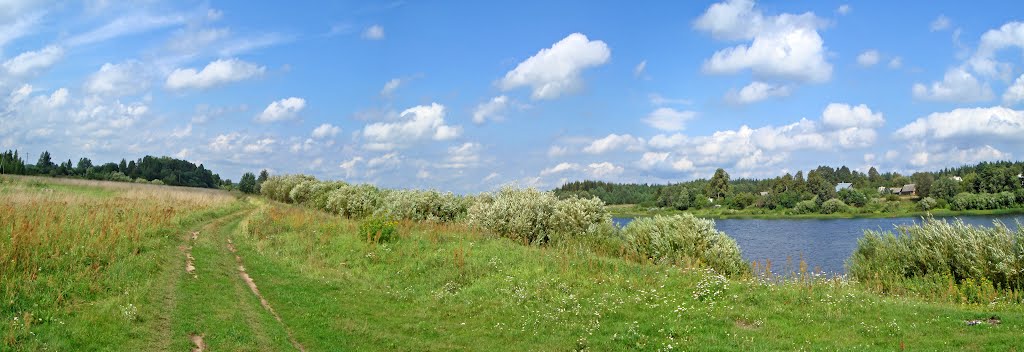 Река Великая - River Velikaya by somili