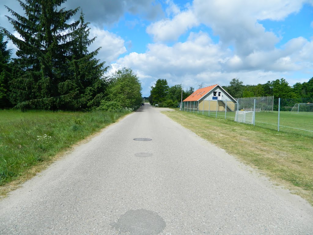 Road into Bryrup by FinlayCox143