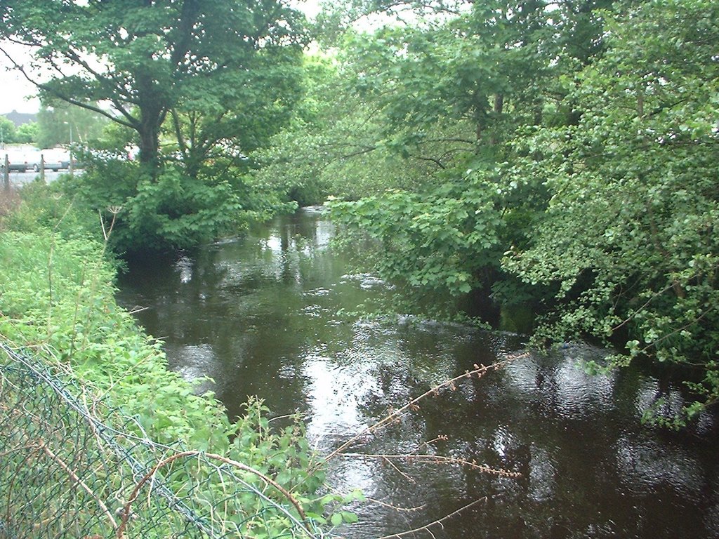 View of town river at Newtown by ppjordan