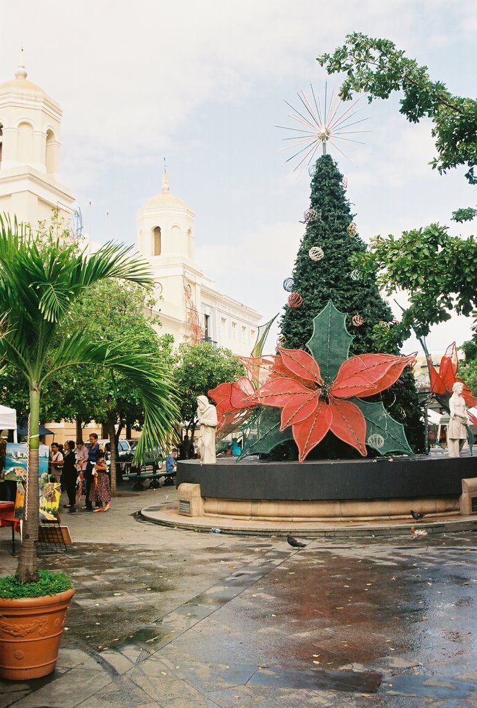 Plaza de Armas-San Juan by Ricardo David Jusino