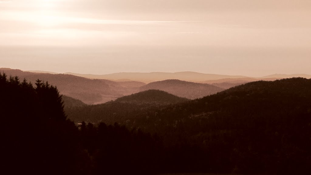 Wanderung BayrischerWald-Allgäu(022)Hügel bis zum Horizont by derallgäuer