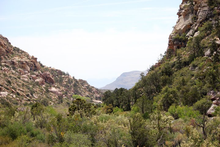 Red Rock Canyon by Brook Burling