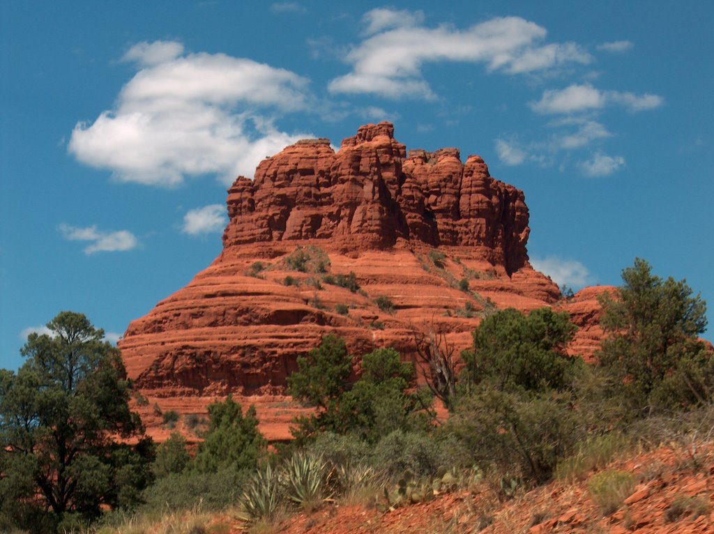 Red Rocks, Sedona, AZ. by Chris Dux