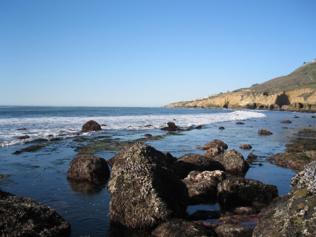 Point Loma Tide pools by mel072077