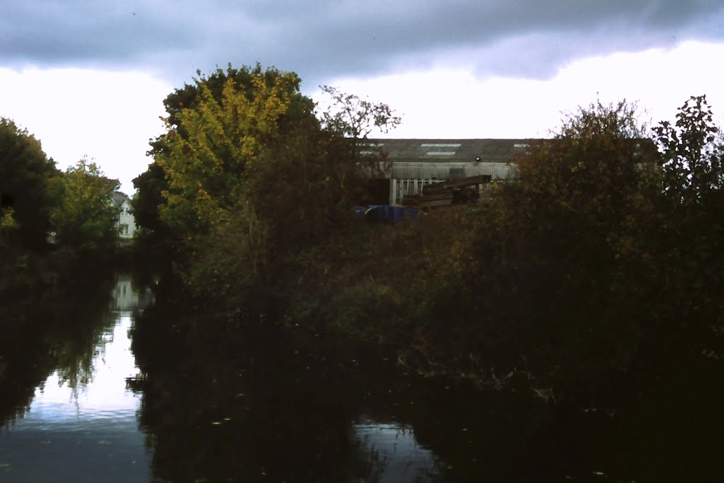 Atkins & Cripps Timber yard, c.1997 (River Stort) by Bigwellies