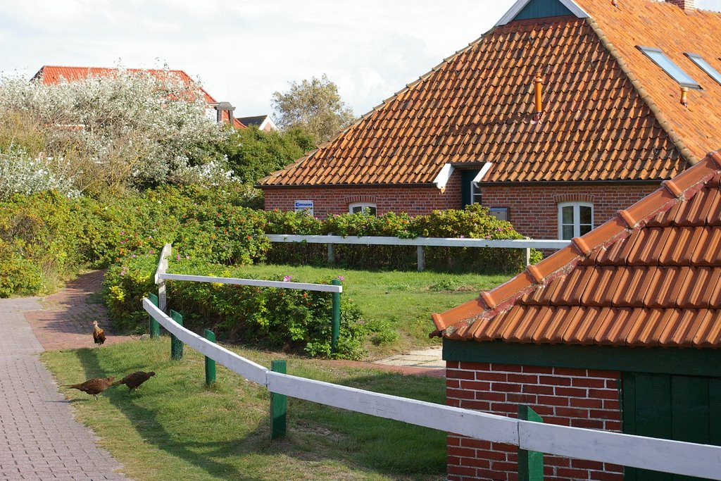 Alte Häuser auf Baltrum by misi.cologne