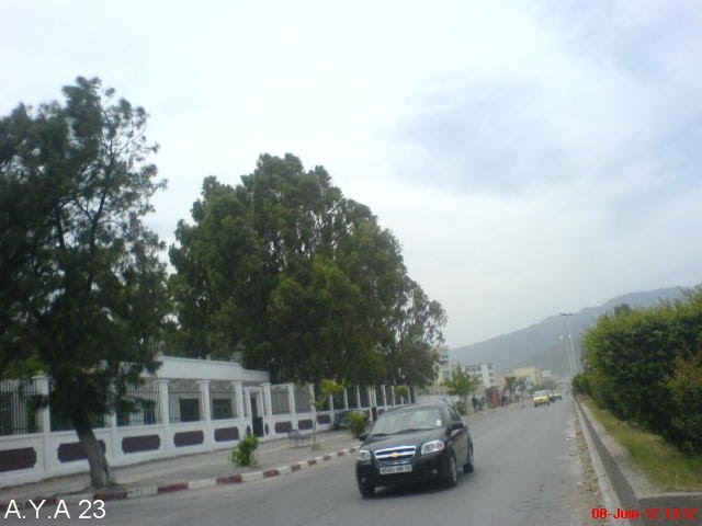 Annaba-Algérie-Route des lauriers roses-le C.F.O. by ayachi23