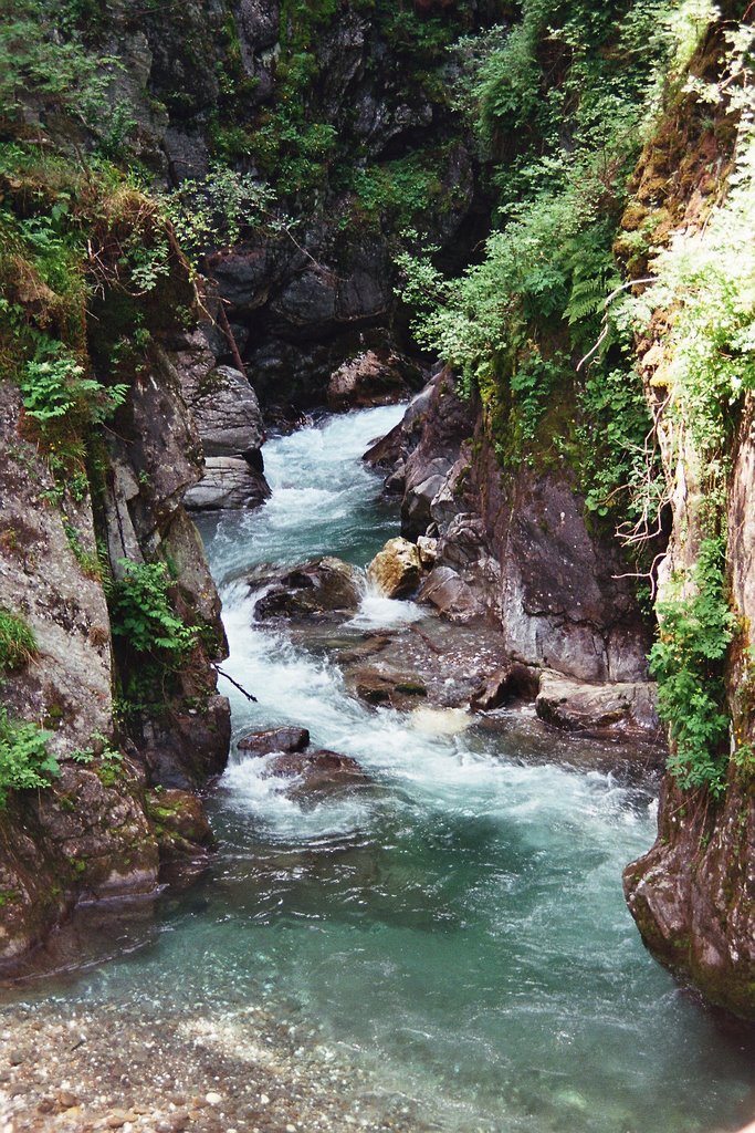 Gilfenklamm bei Sterzing by Armin Menzer