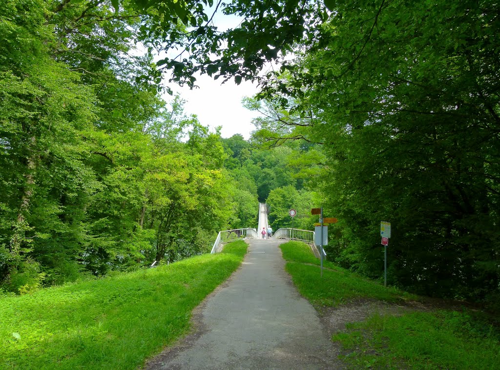 Passerelle du Lignon by Magda GHALI