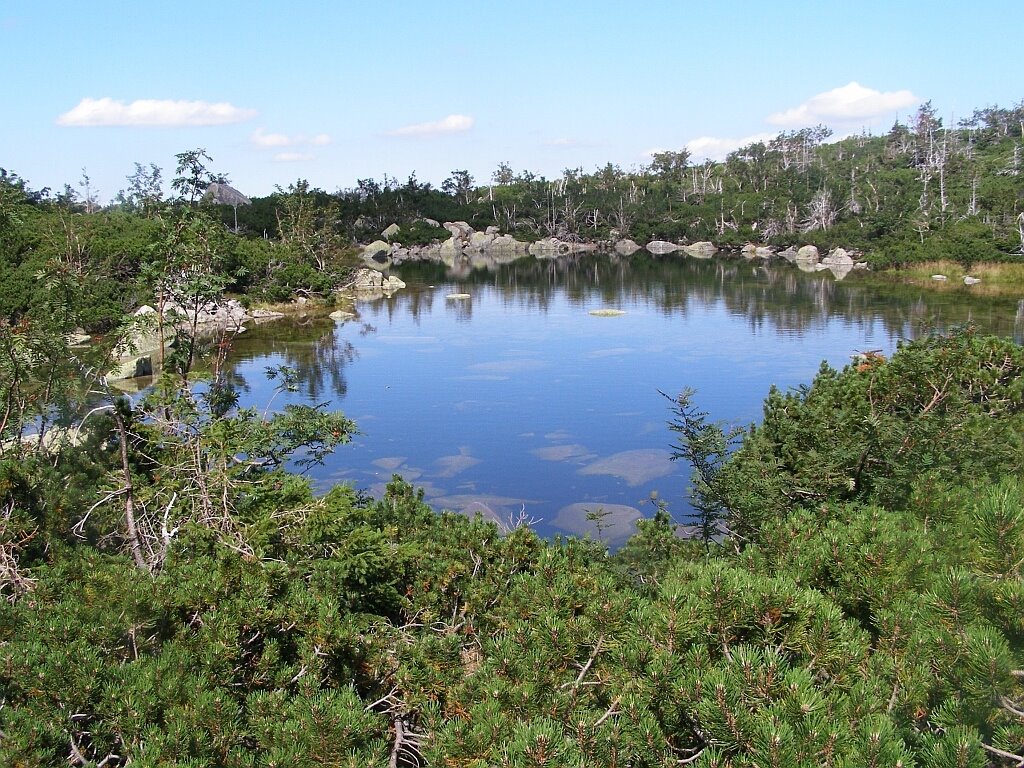 One of Snowy Pools by Dodge