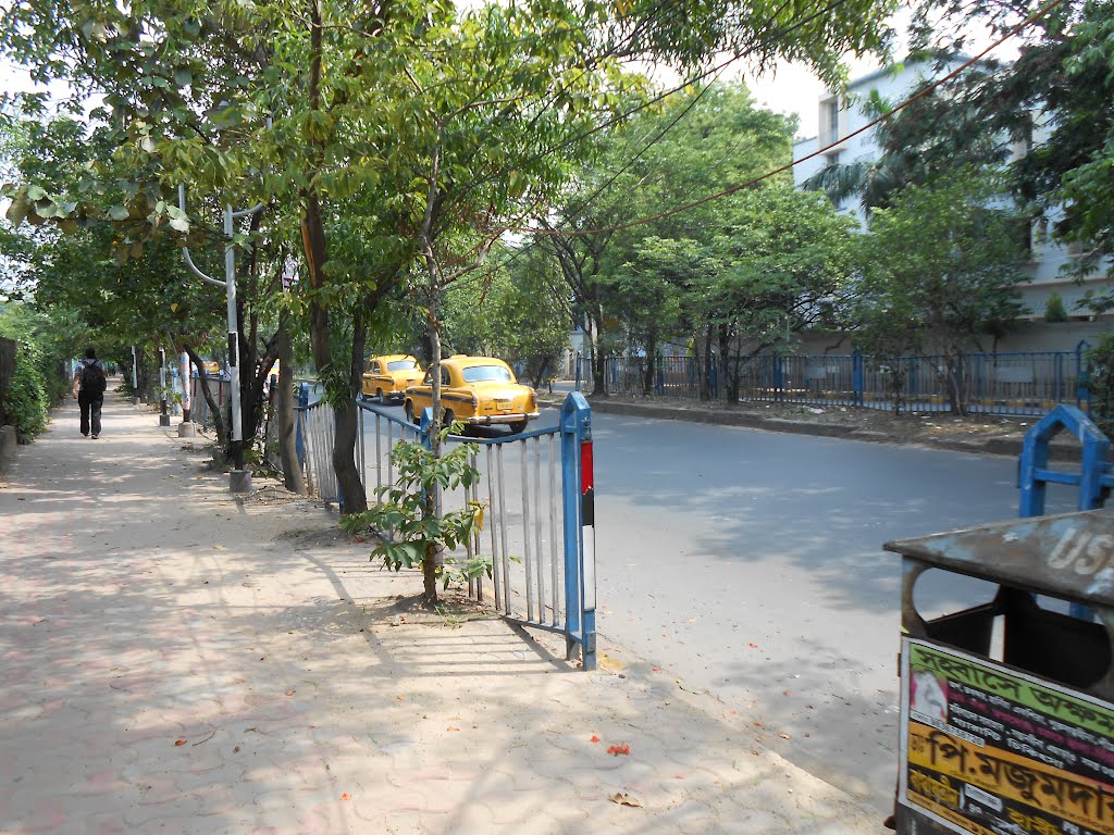 Raja S C Mullic Rd by Manoj Kumar Kushwaha