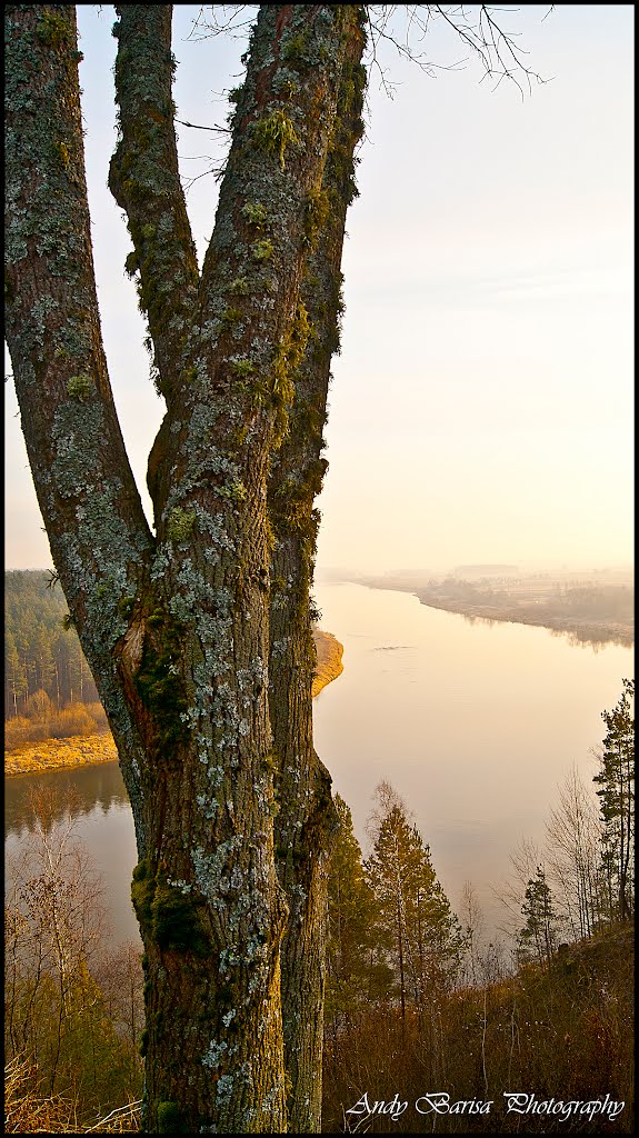 Nemunas by andybarisaphotography