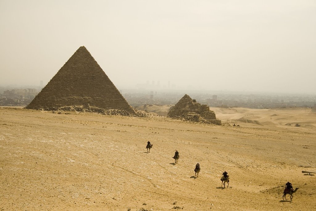 Giza Camels by javierly