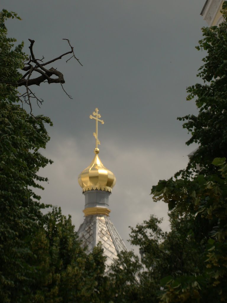 2012.06.06-07.(1)_Cathedral-St.TRANSFIGURATION-Ukrainian Orthodox Church-(UPC)_JYTOMYR_DSC00356 by Paul_V._Lashkevich