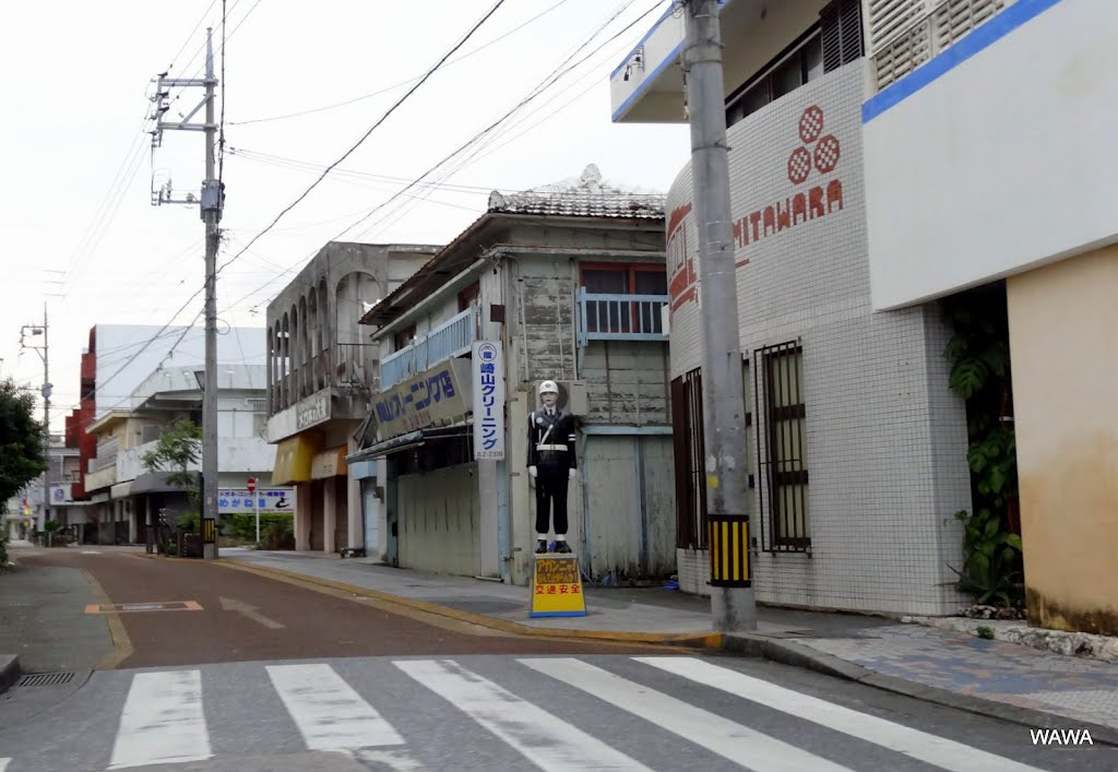 Miyakojima Mamoru-kun, Okinawa / 宮古島まもる君 by mandegan