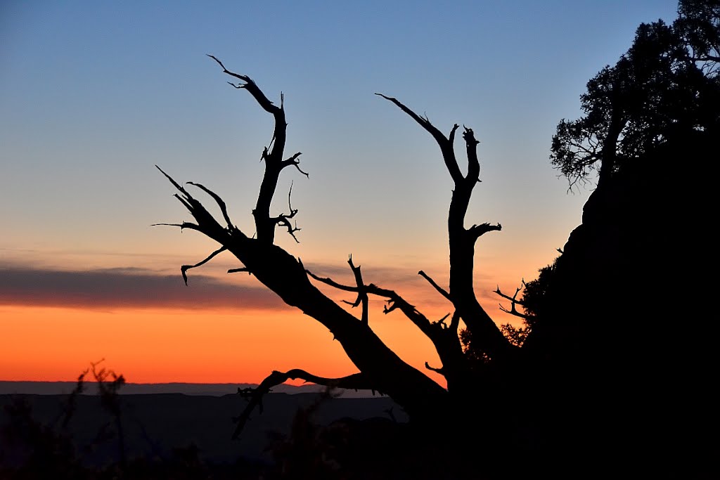 Devils Garden Trail in Arches National Park by Boathill