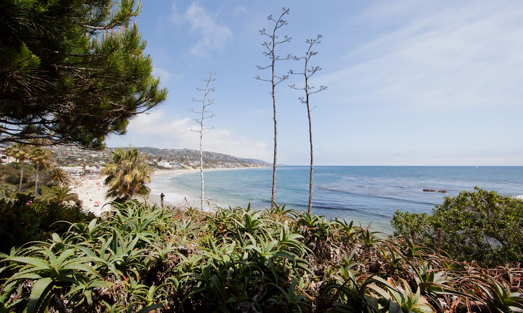 Laguna Beach, California by Hoàng Khai Nhan