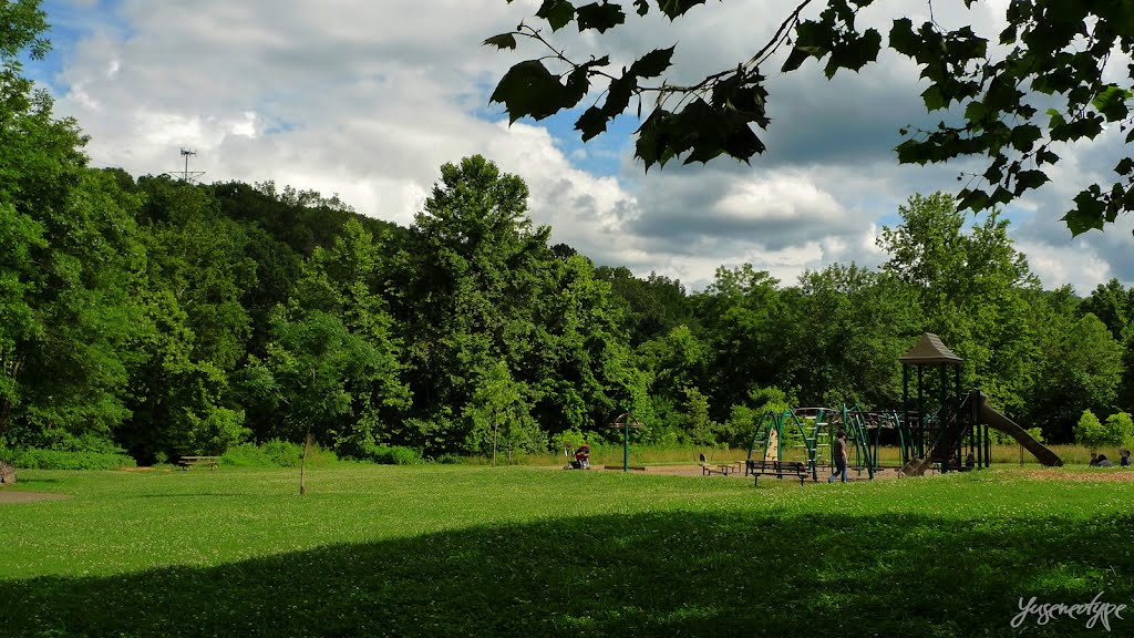 Recreational Facilities - Riverview Park by yuseneotype