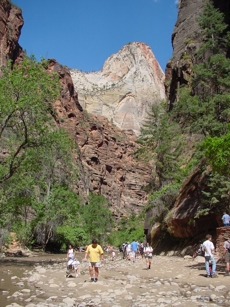 Riverside Walk, Temple of Sinawana - Zion NP by Alvaro Mesa