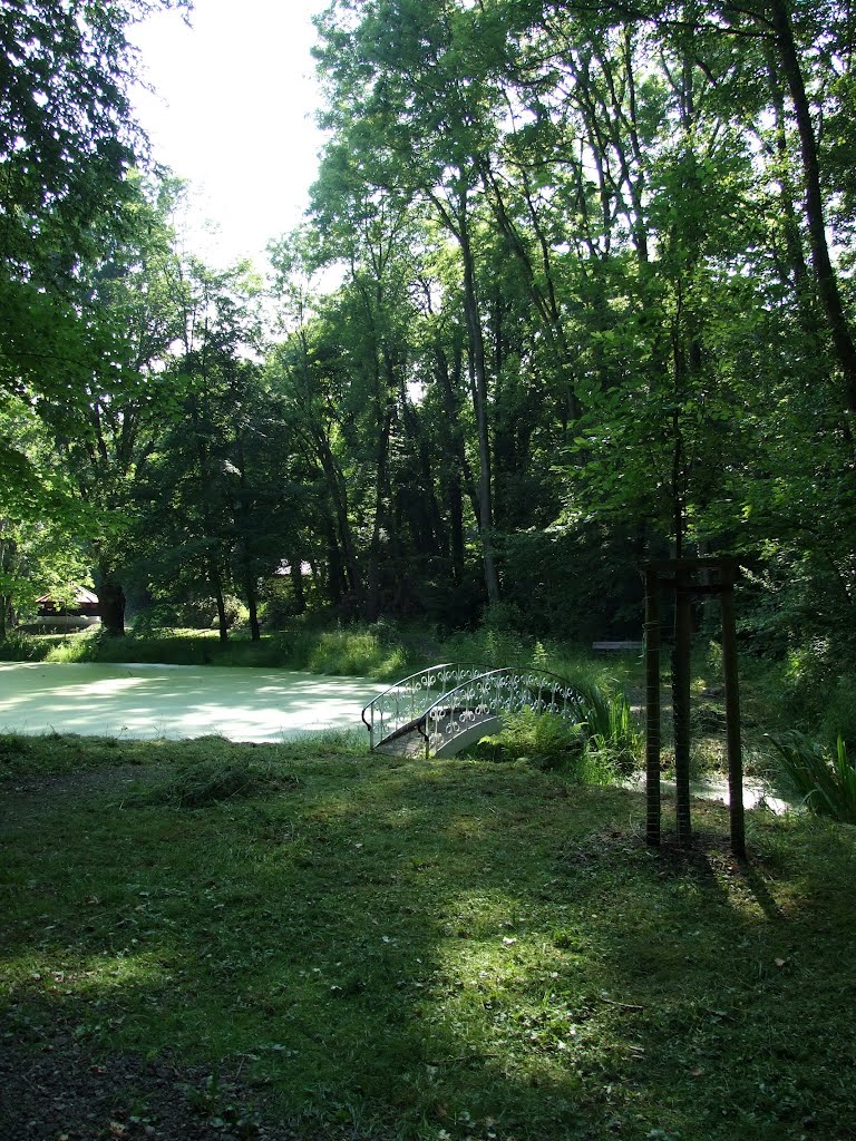 Park in Rösa by vogelfeder16