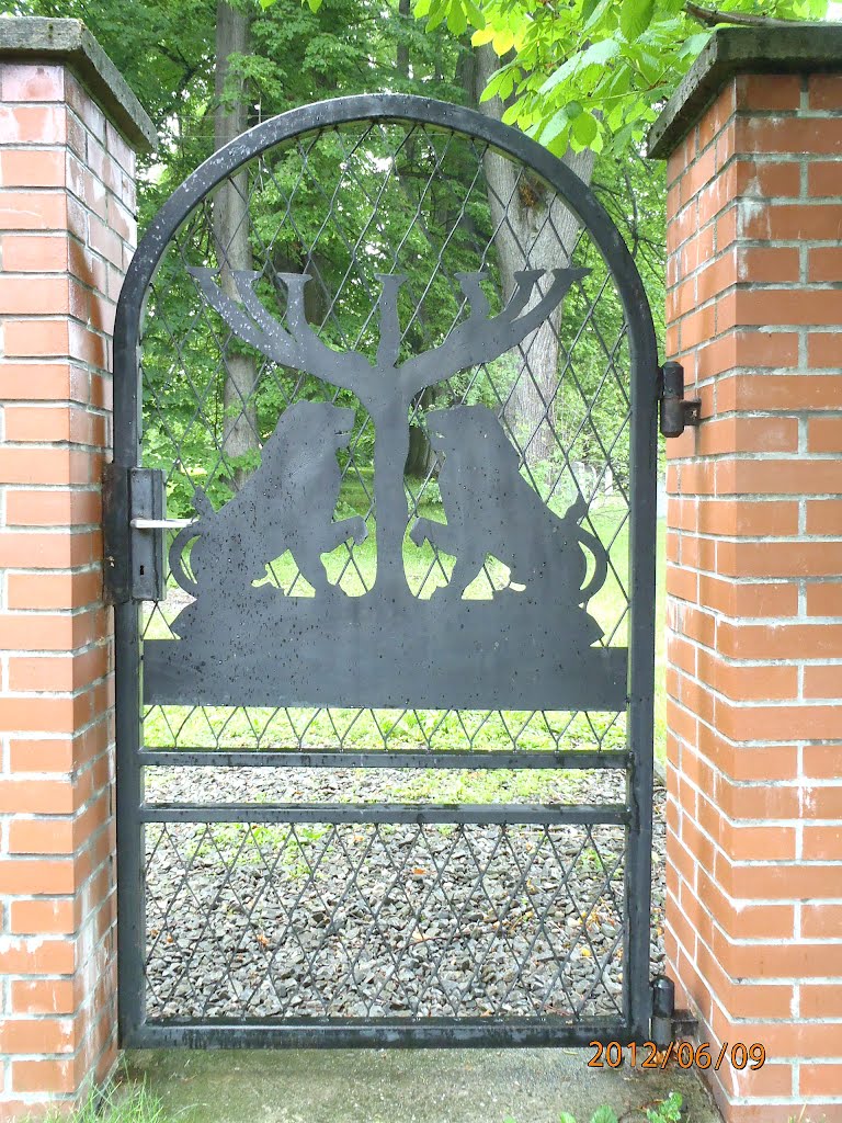 Cmentaż Żydowski - Jewish cemeteries by Andrzej Bacza.