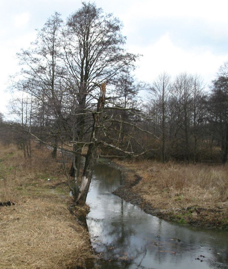 Zimna woda - rzeczka w Kaniach by elabe