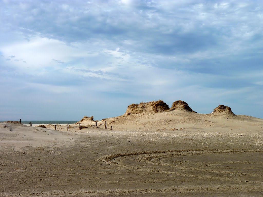 Rømø - Lakolk strand, ved pælene by Irmgard Lorenzen