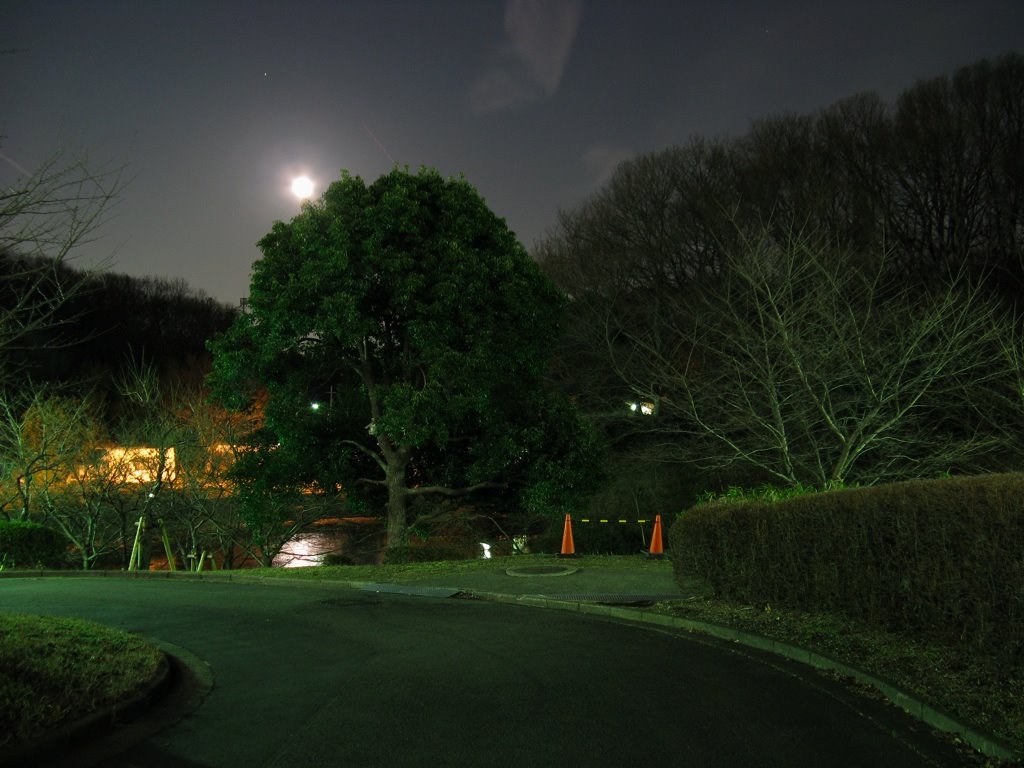 Tokyo Institute of Technology at night. by gussisaurio