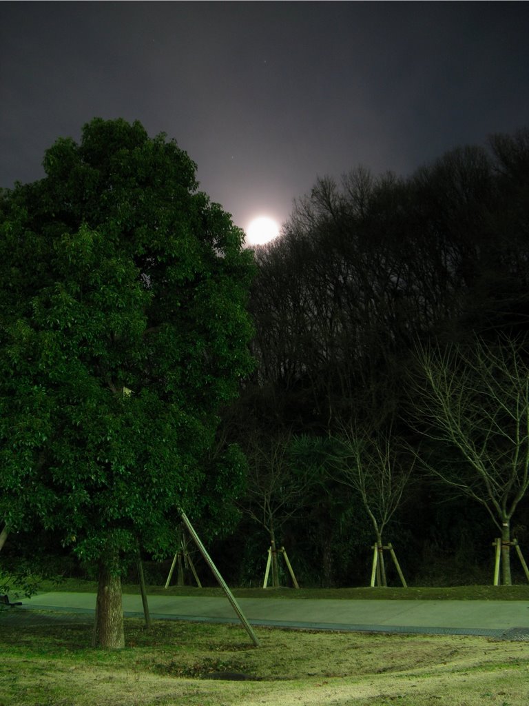 Tokyo Institute of Technology at night. by gussisaurio