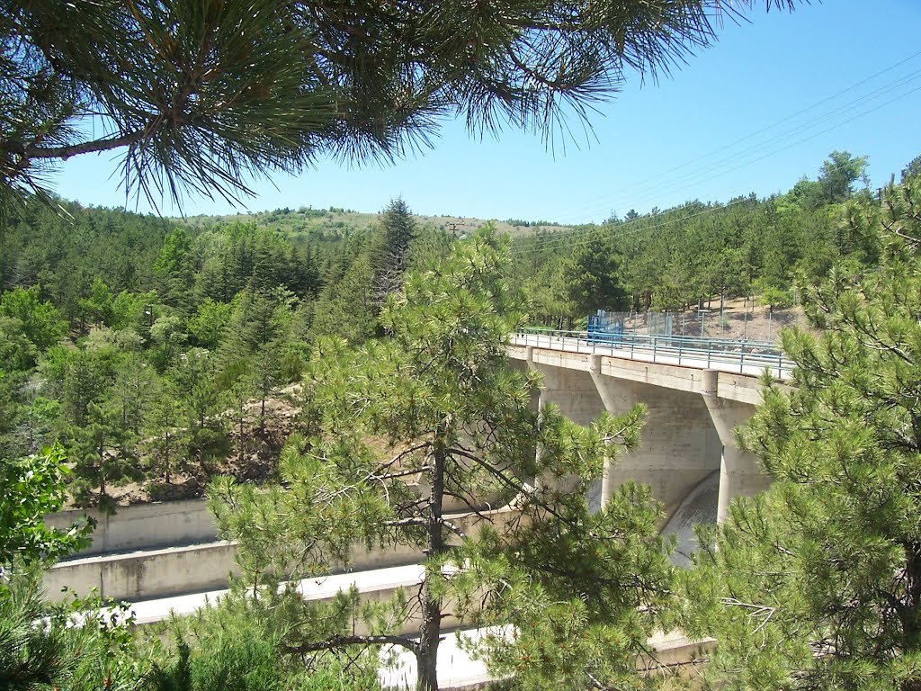 Çubuk2 9haziran2012 by Savaş Köksal