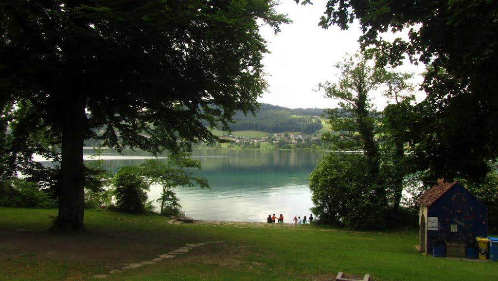 Hallwilersee by Test14400