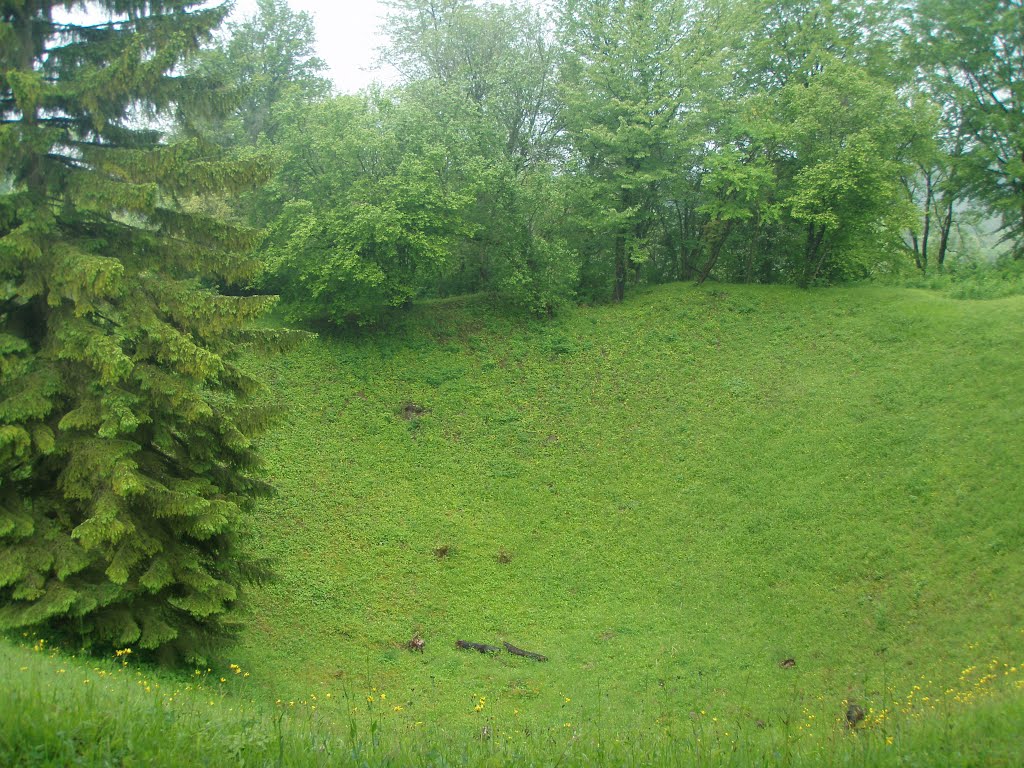 les Eparges 1ww mine craters+monuments by stevenvanValen+hannekeRolloos