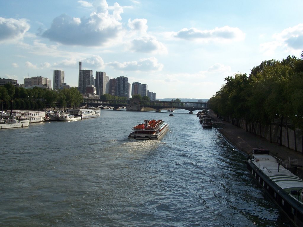 La Seine depuis le Pont d'Iena by FGuertin