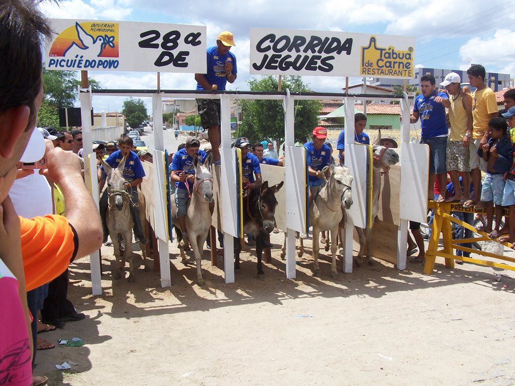 Festa de São Sebastião em Picuí - Corrida de Jegues (2008). by Antonio Carlos Burit…