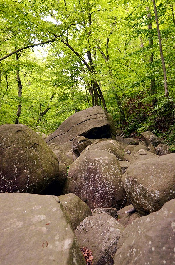 2012-06-09 Boulders of Roaring Brook by Andrew Stehlik