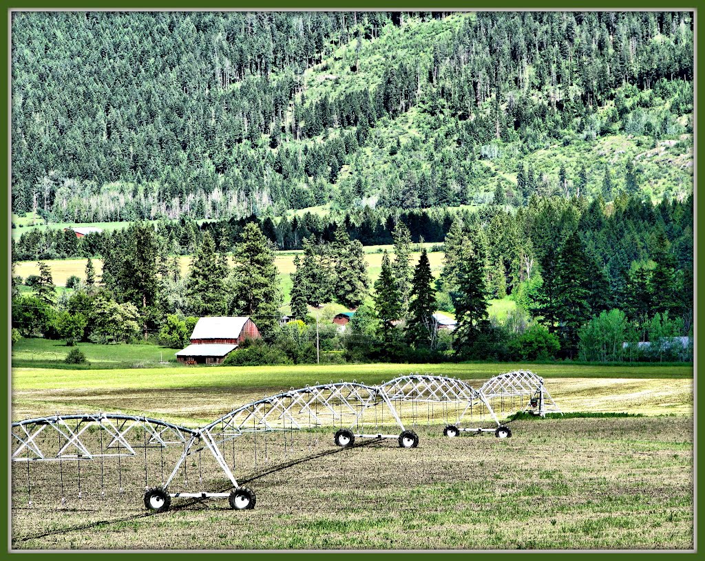 Center pivot in Armstrong, B.C. by Laurel211