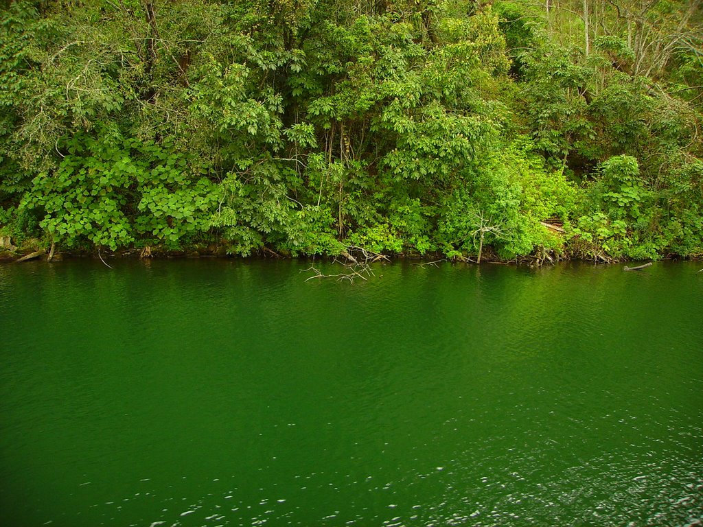 Lago de Zirahuén by sossa