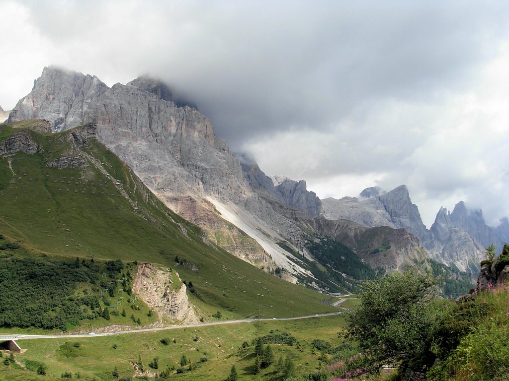 Passo Rolle by Rino Pazzaglia