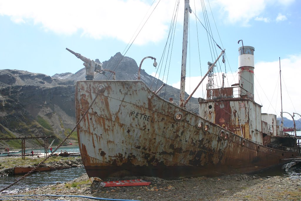 Old whale hunting vessel at Grytviken - South Georgia by papeeters