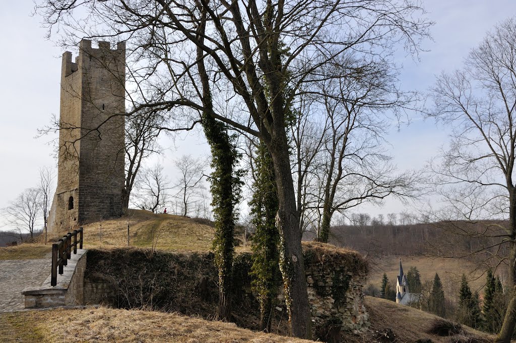 Tautenburg [2011] by Ralf-Rainer Hoffmann